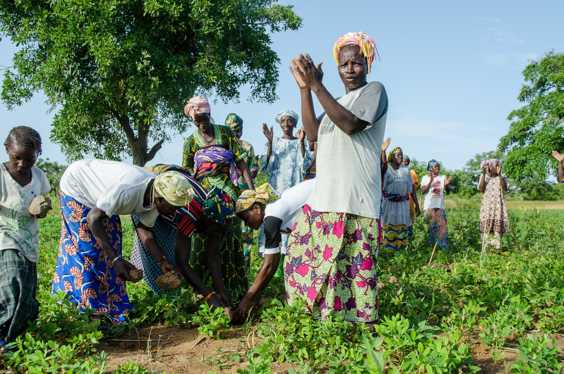 Women and children sorting vegetables at community farm harvest
