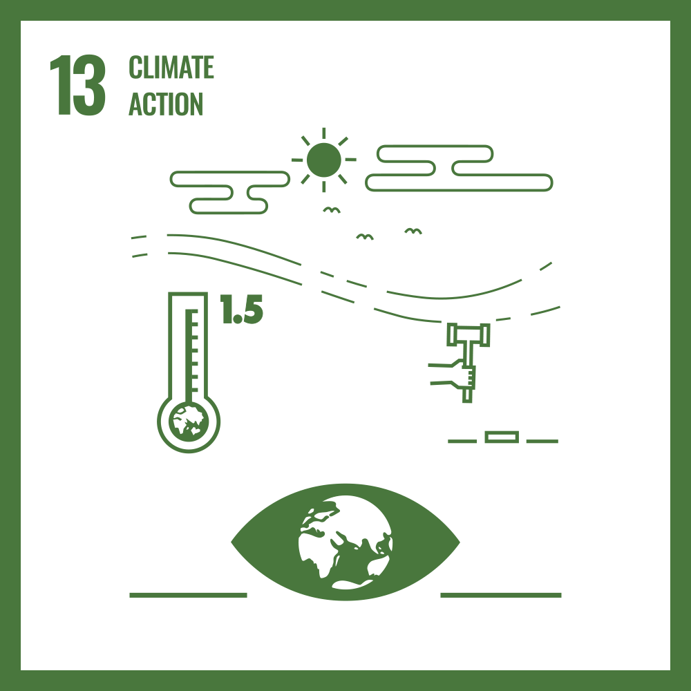 SDG 13 Climate Action icon